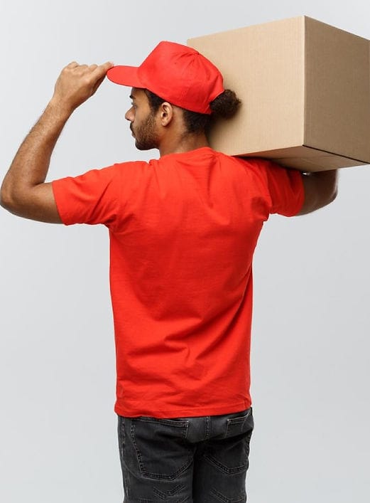 Estabilidade Gestante Vale Refeição Cesta Básica